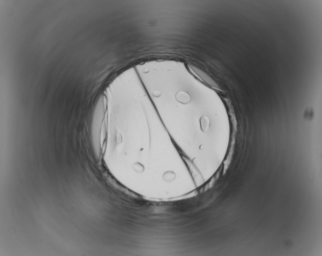 X0000113000560200910081201