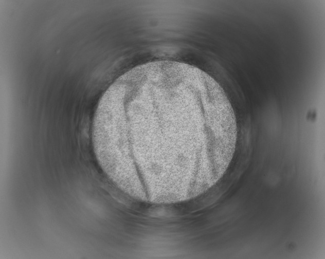 X0000113000561200910081201