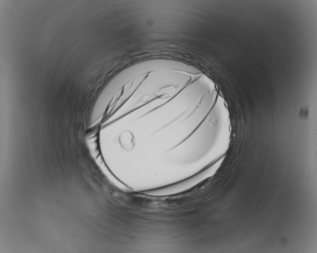 X0000113000562200910081201