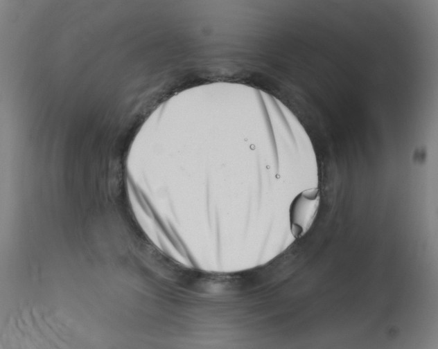 X0000113000563200910081201