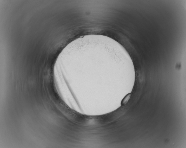 X0000113000564200910081201