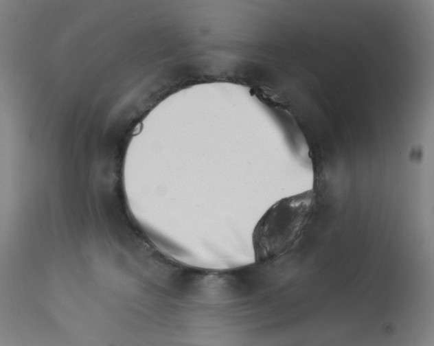 X0000113000566200910081201