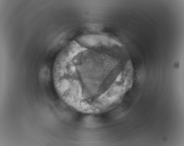 X0000113000568200910081201