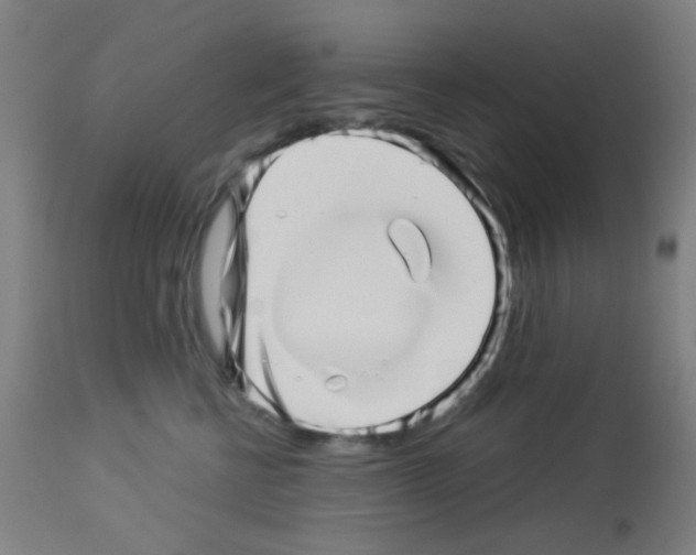 X0000113000570200910081201