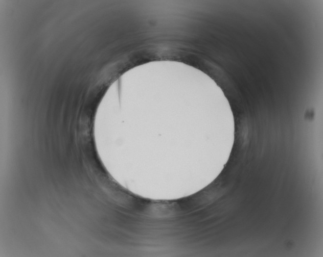 X0000113000571200910081201