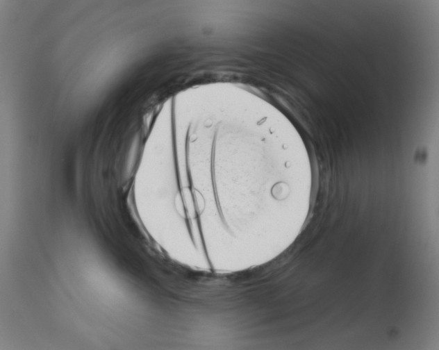 X0000113000572200910081201