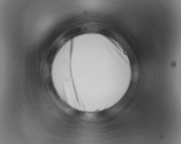 X0000113000573200910081201