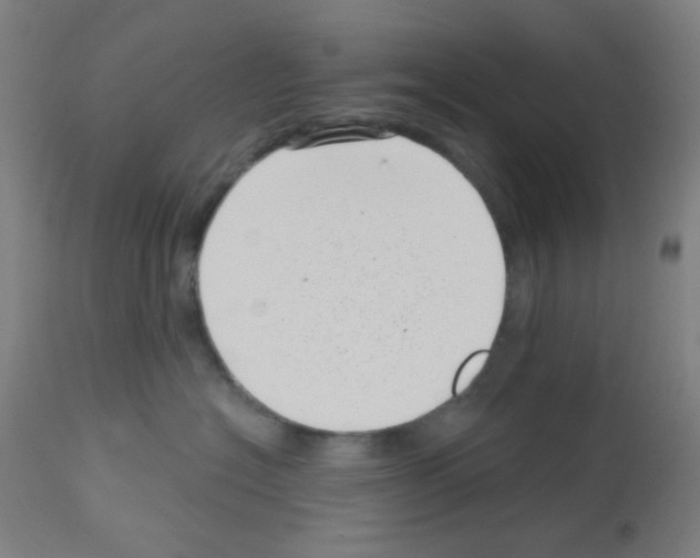 X0000113000574200910081201