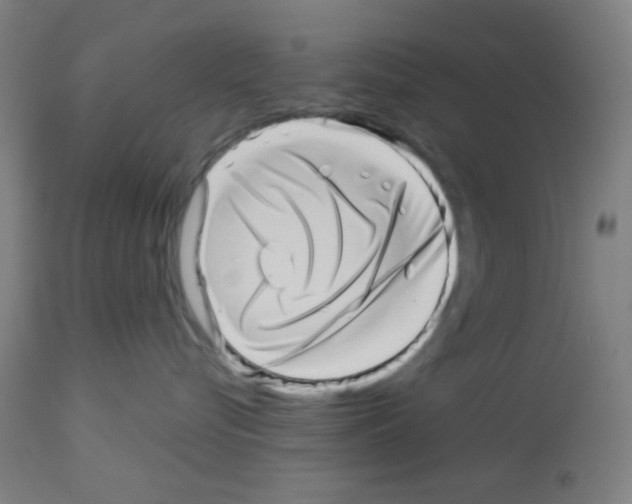 X0000113000576200910081201