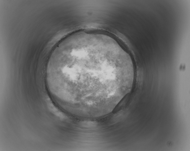 X0000113000577200910081200