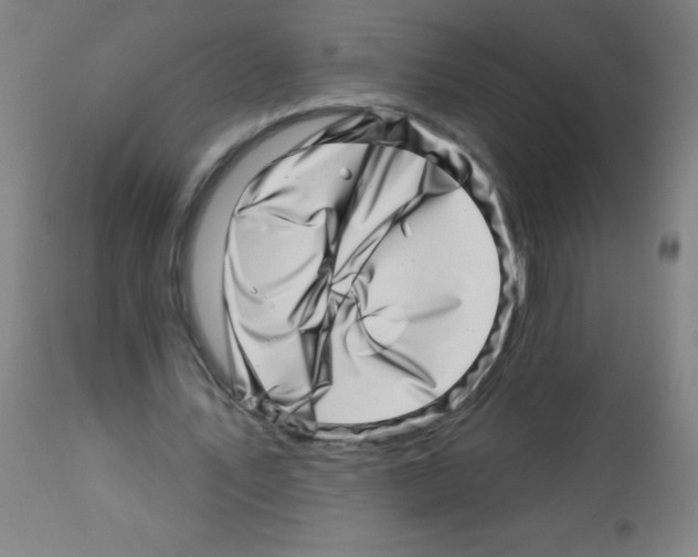 X0000113000579200910081200