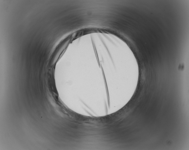 X0000113000580200910081200