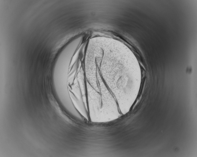 X0000113000581200910081200