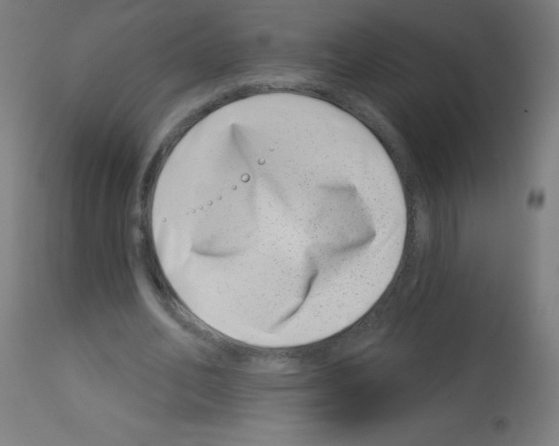 X0000113000582200910081200