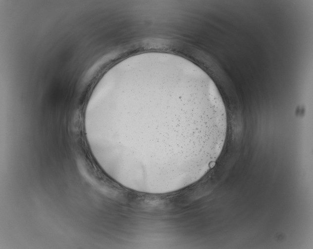 X0000113000583200910081200