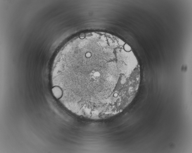 X0000113000584200910081200