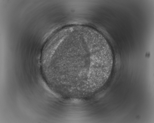 X0000113000585200910081200