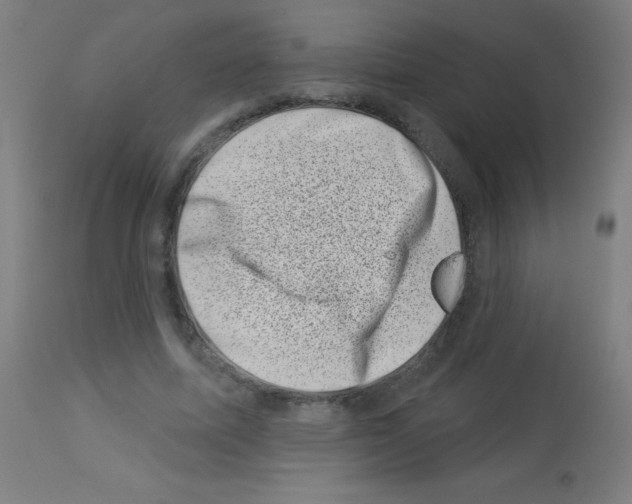 X0000113000587200910081200