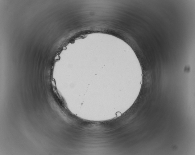 X0000113000589200910081200