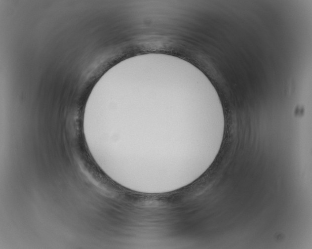 X0000113000590200910081200