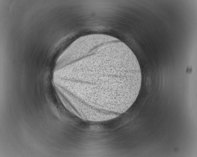 X0000113000591200910081200