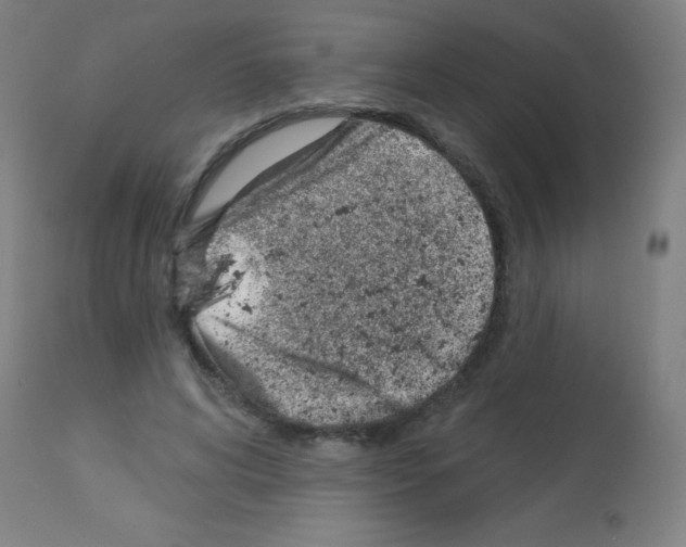 X0000113000592200910081200