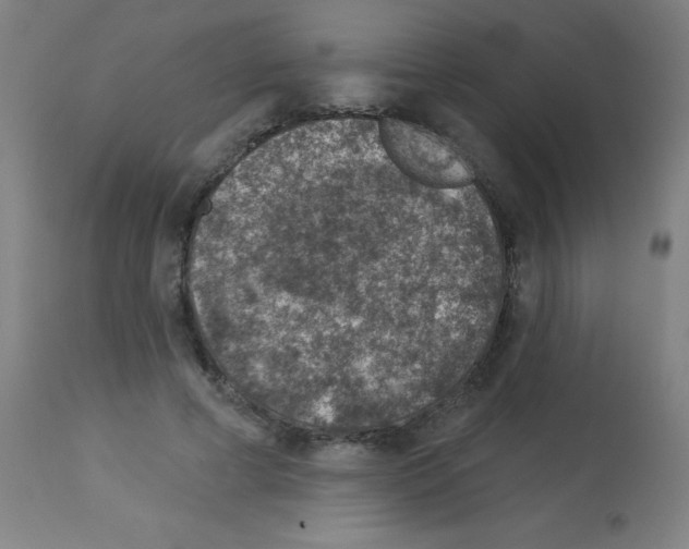 X0000113000593200910081200