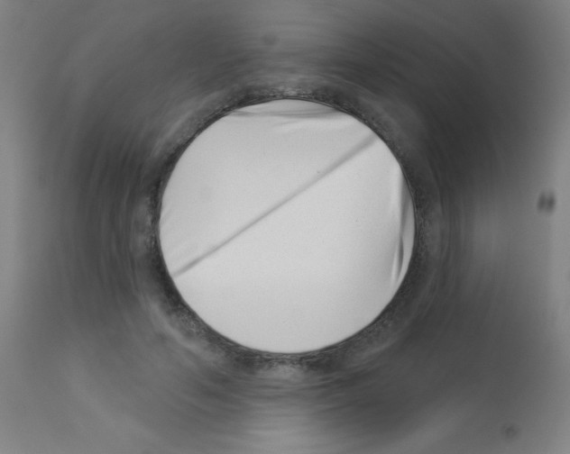 X0000113000594200910081200