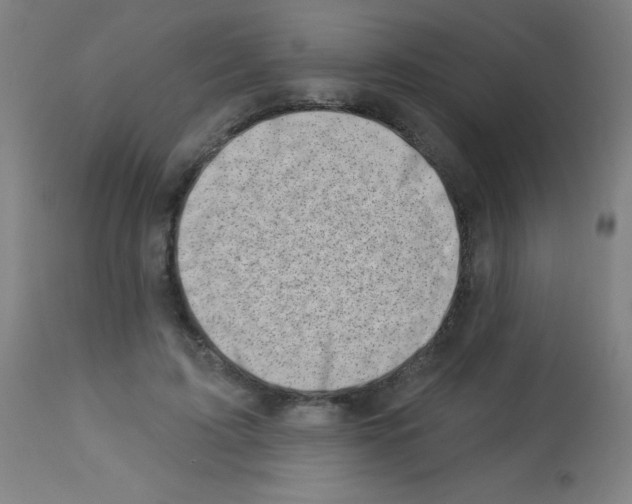 X0000113000595200910081200