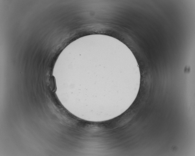 X0000113000597200910081200