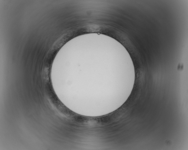 X0000113000598200910081200