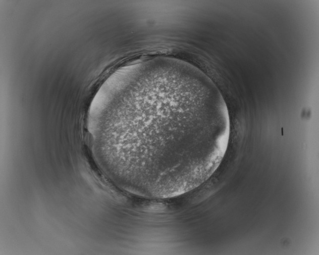 X0000113000600200910081200