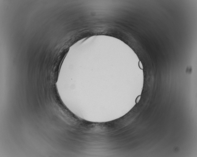 X0000113000601200910081200