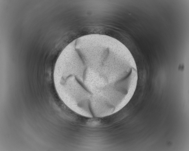 X0000113000602200910081200