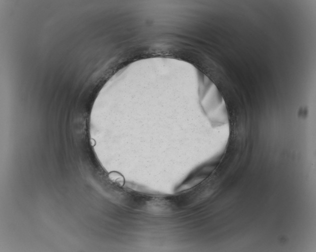 X0000113000603200910081159