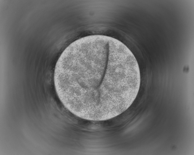 X0000113000604200910081159