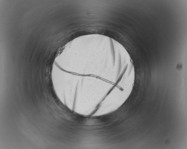 X0000113000605200910081159