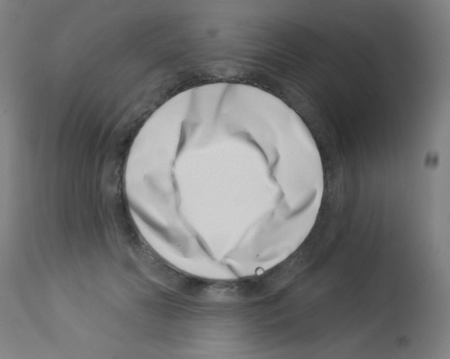 X0000113000606200910081159