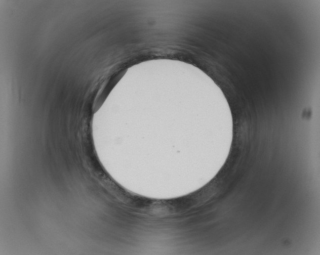 X0000113000608200910081159