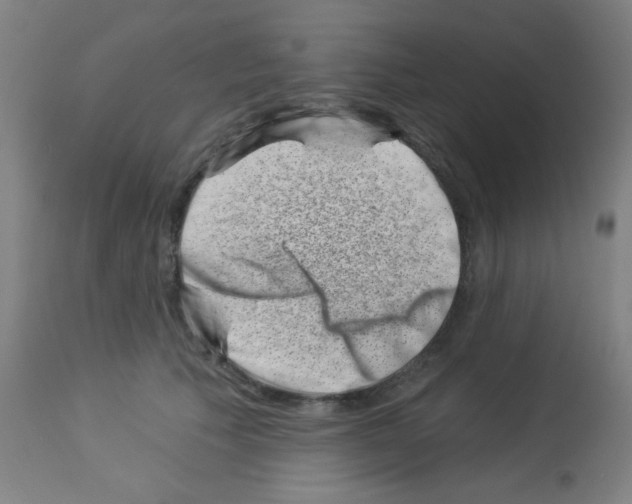 X0000113000609200910081159