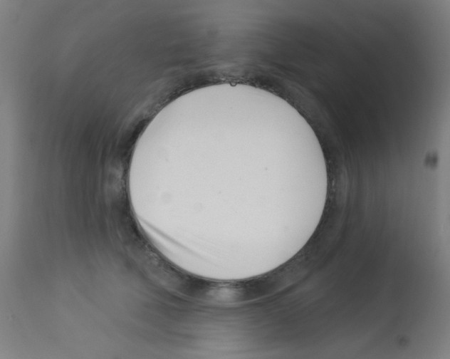 X0000113000610200910081159