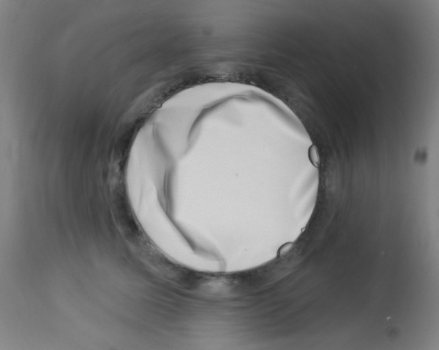 X0000113000611200910081159