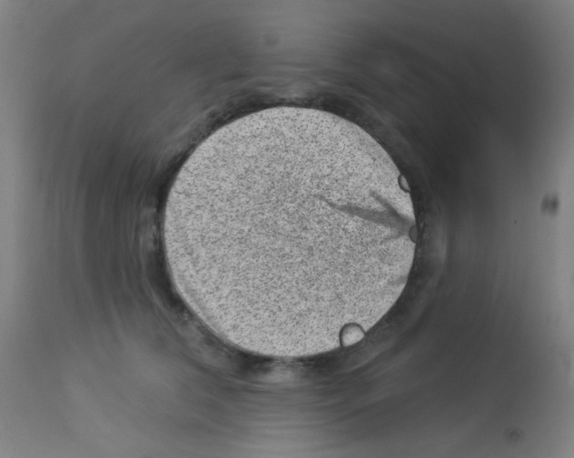 X0000113000612200910081159