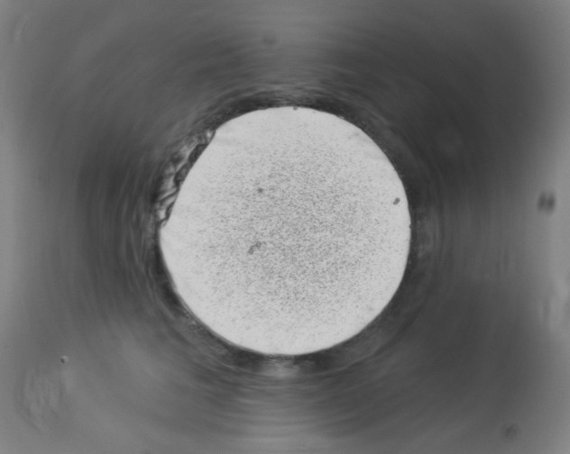 X0000113000613200910081159