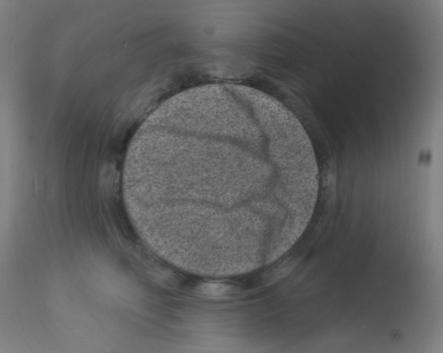 X0000113000614200910081159