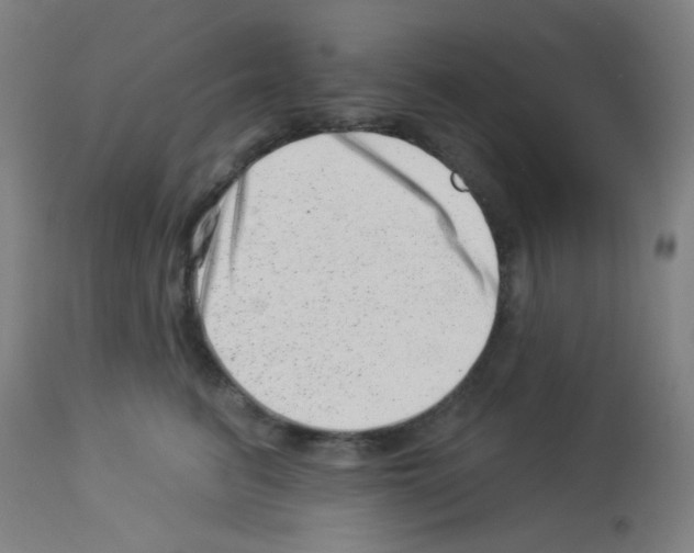 X0000113000615200910081159