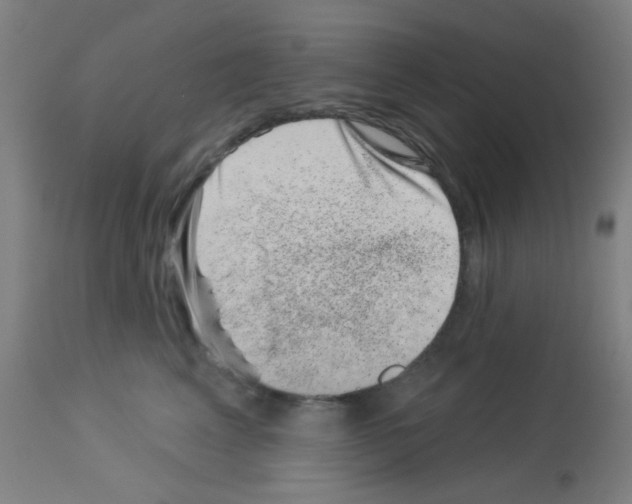 X0000113000617200910081159