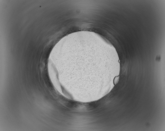 X0000113000618200910081159