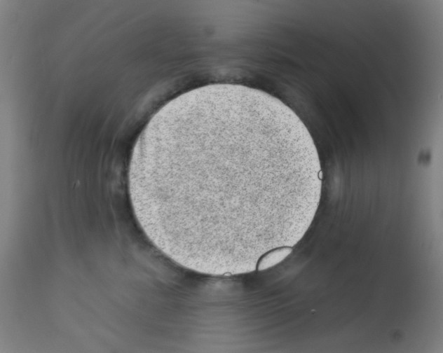 X0000113000619200910081159