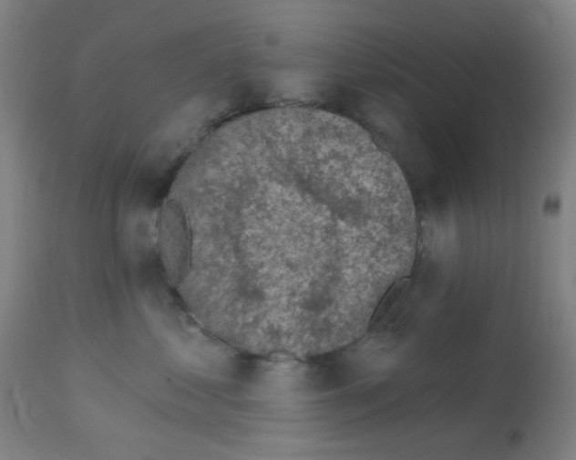 X0000113000621200910081159